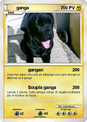 Pokemon ganga