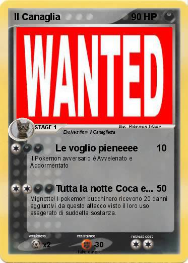Pokemon Il Canaglia