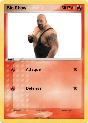 Pokemon Big Show