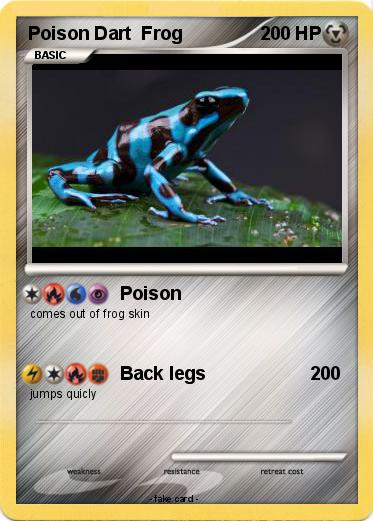 Pokemon Poison Dart  Frog