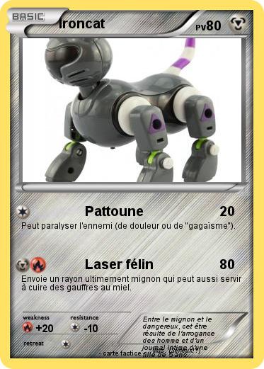 Pokemon Ironcat