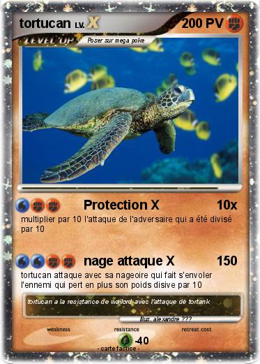 Pokemon tortucan