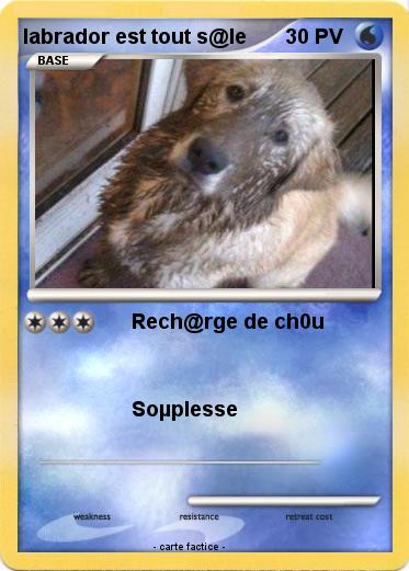 Pokemon labrador est tout s@le