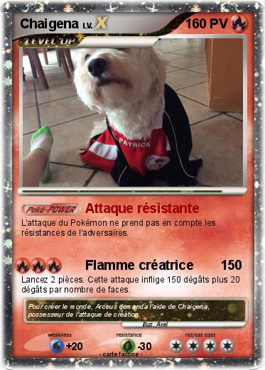 Pokemon Chaigena