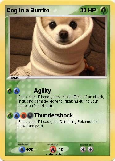 Pokemon Dog in a Burrito