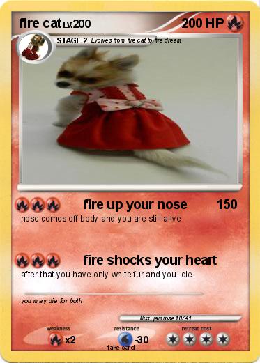 Pokemon fire cat