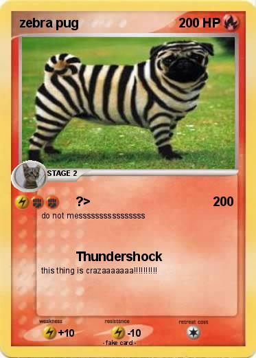 Pokemon zebra pug