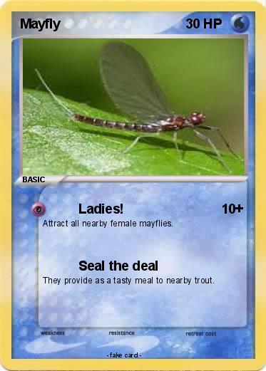 Pokemon Mayfly