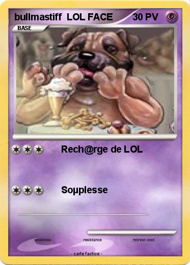 Pokemon bullmastiff  LOL FACE