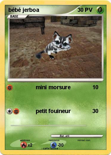 Pokemon bébé jerboa
