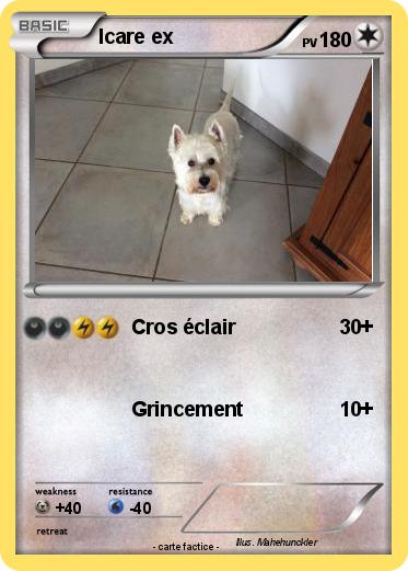 Pokemon Icare ex