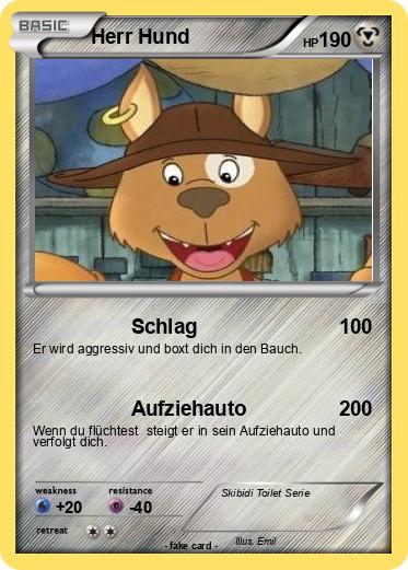 Pokemon Herr Hund