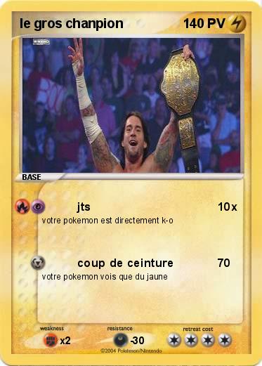 Pokemon le gros chanpion
