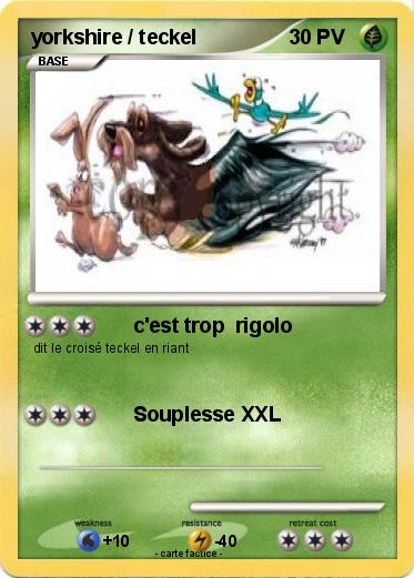 Pokemon yorkshire / teckel