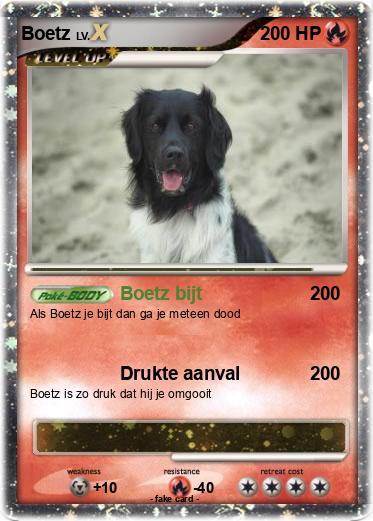 Pokemon Boetz