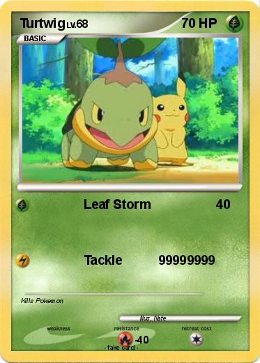 Pokemon Turtwig