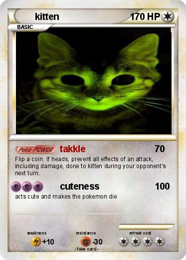 Pokemon kitten