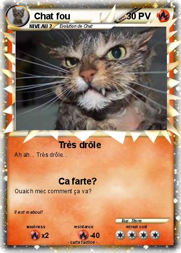 Pokemon Chat fou