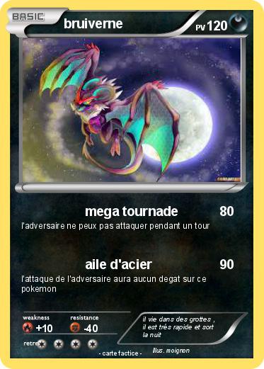 Pokemon bruiverne