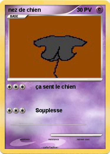 Pokemon nez de chien