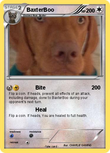 Pokemon BaxterBoo