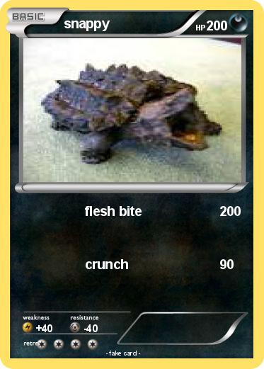 Pokemon snappy