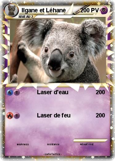 Pokemon Ilgane et Léhane