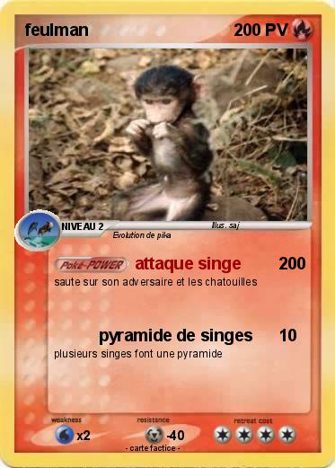 Pokemon feulman