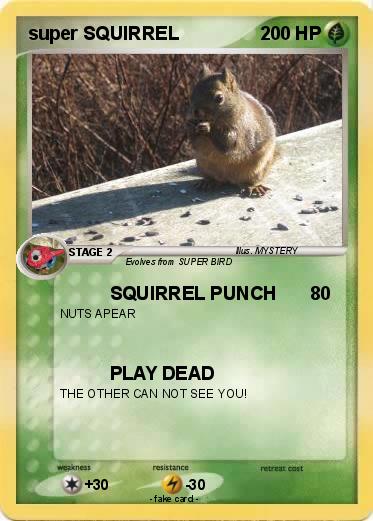 Pokemon super SQUIRREL