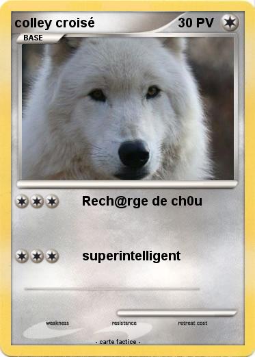Pokemon colley croisé