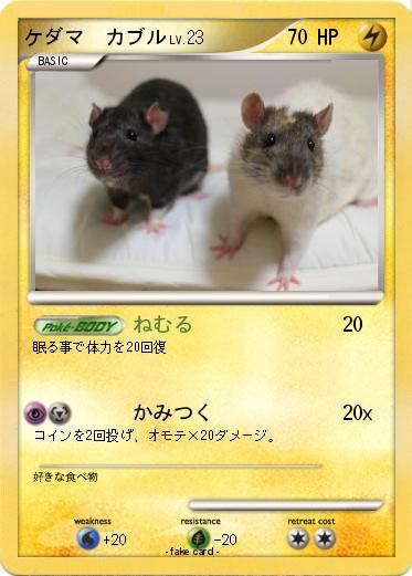 Pokemon ケダマ　カブル