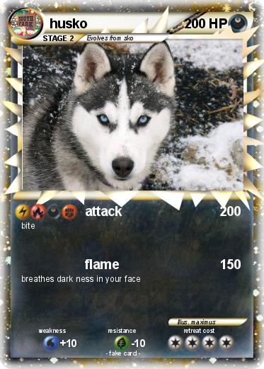 Pokemon husko