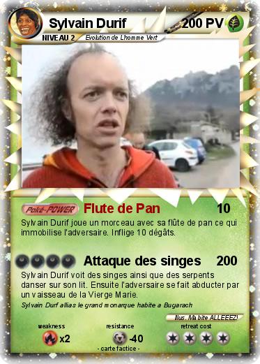 Pokemon Sylvain Durif