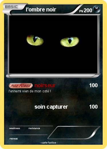 Pokemon l'ombre noir