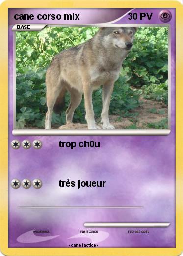 Pokemon cane corso mix