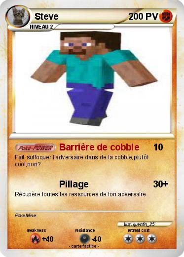 Pokemon Steve