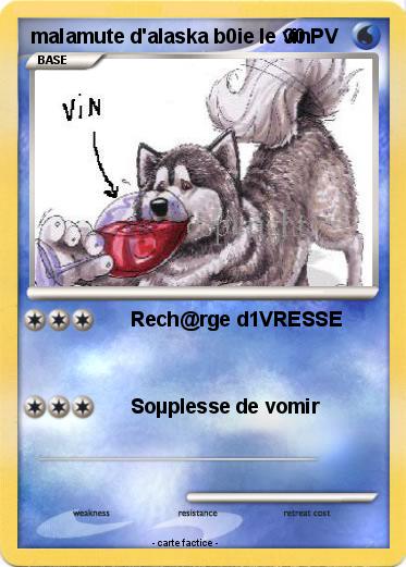 Pokemon malamute d'alaska b0ie le vin