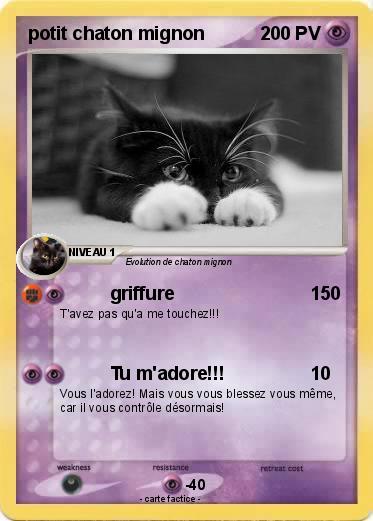 Pokemon potit chaton mignon