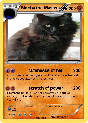 Pokemon Mocha the Master cat