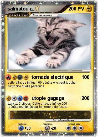 Pokemon salmatou