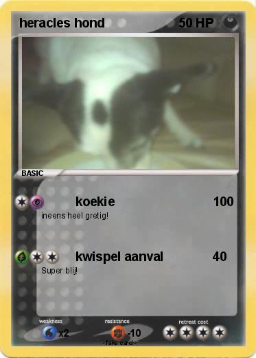 Pokemon heracles hond