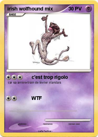Pokemon irish wolfhound mix