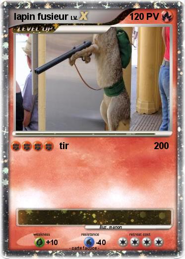 Pokemon lapin fusieur