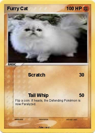 Pokemon Furry Cat