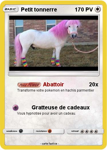 Pokemon Petit tonnerre