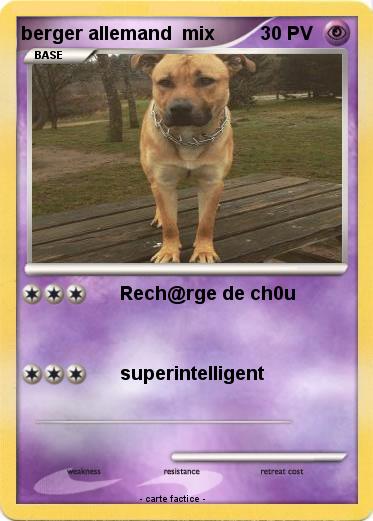 Pokemon berger allemand  mix