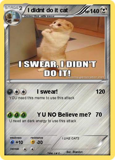 Pokemon I didnt do it cat