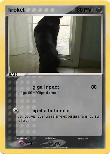 Pokemon kroket
