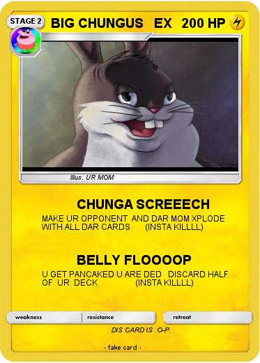 Pokemon BIG CHUNGUS   EX