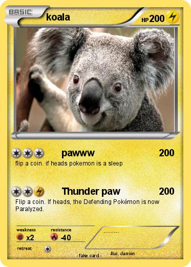 Pokemon koala